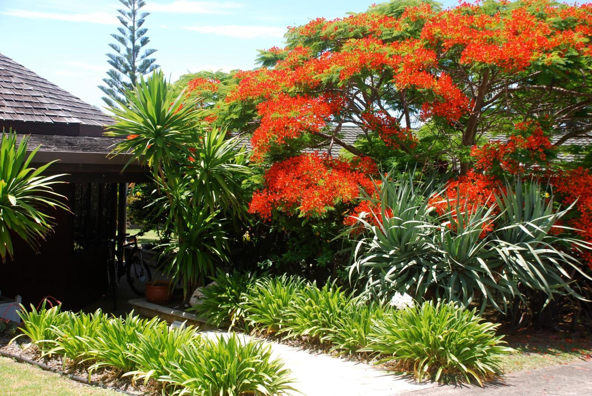 Coast Norfolk Island Lejlighed Burnt Pine Eksteriør billede